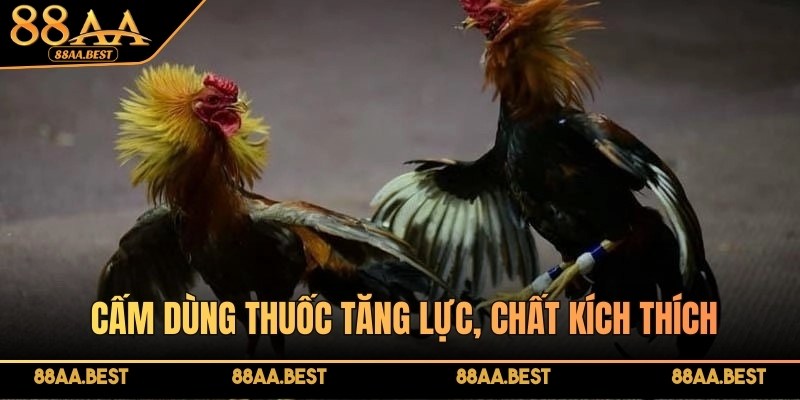 Một điểm đặc biệt trong luật là cấm dùng thuốc tăng lực, chất kích thích